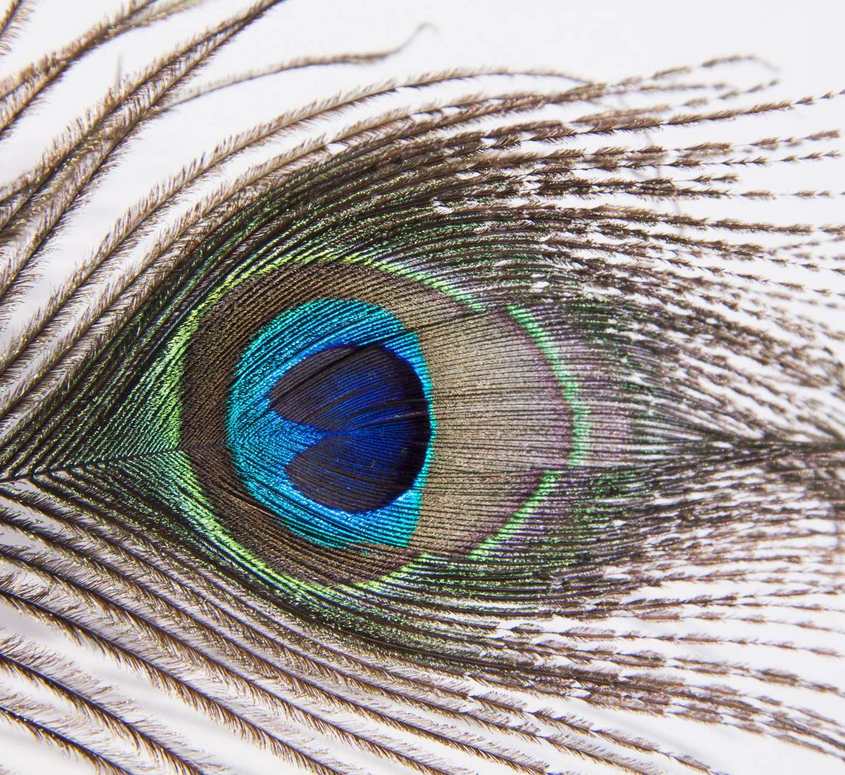 Image supplémentaire